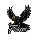 Falcons Fierce Mascot - T-shirt / Hoodie