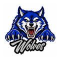 Wolves Fierce Mascot - T-shirt / Hoodie